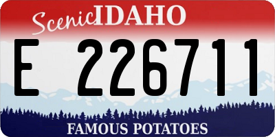 ID license plate E226711