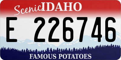 ID license plate E226746