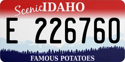ID license plate E226760