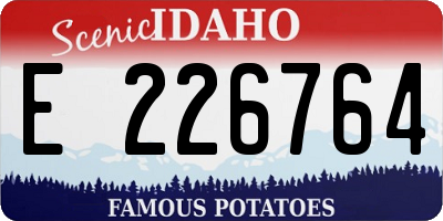 ID license plate E226764