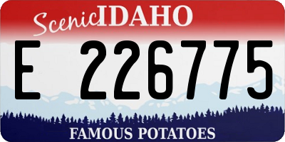 ID license plate E226775
