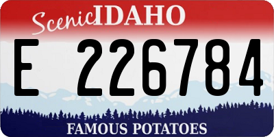 ID license plate E226784