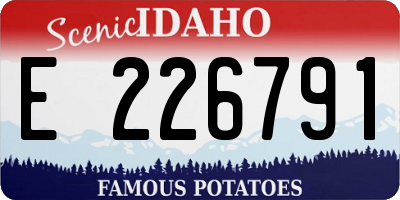 ID license plate E226791
