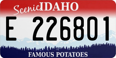 ID license plate E226801