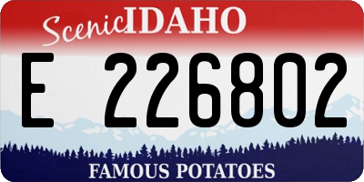 ID license plate E226802