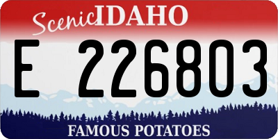 ID license plate E226803