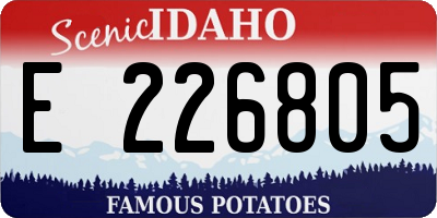 ID license plate E226805