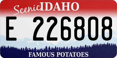 ID license plate E226808