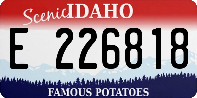 ID license plate E226818