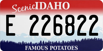 ID license plate E226822