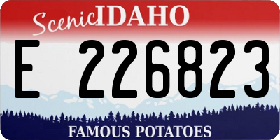 ID license plate E226823