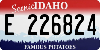 ID license plate E226824