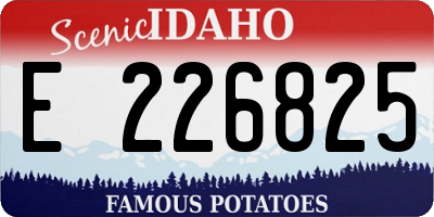 ID license plate E226825