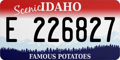ID license plate E226827