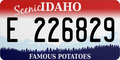 ID license plate E226829