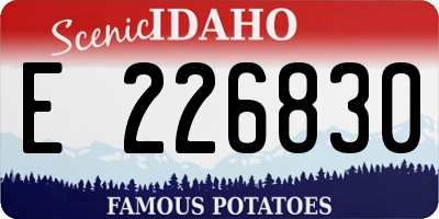 ID license plate E226830