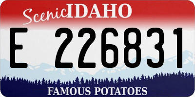 ID license plate E226831