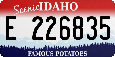 ID license plate E226835