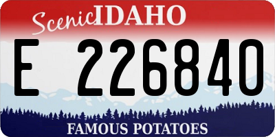 ID license plate E226840