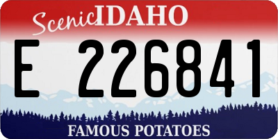 ID license plate E226841