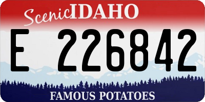 ID license plate E226842