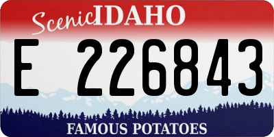 ID license plate E226843