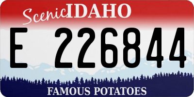 ID license plate E226844