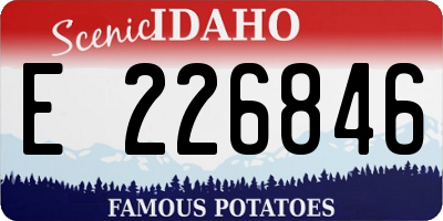 ID license plate E226846