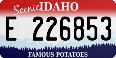 ID license plate E226853