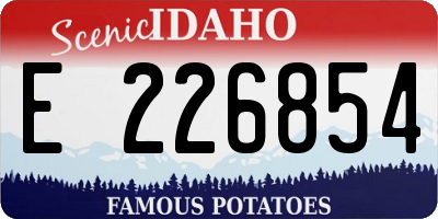 ID license plate E226854