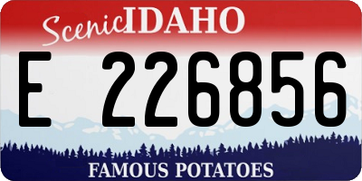 ID license plate E226856