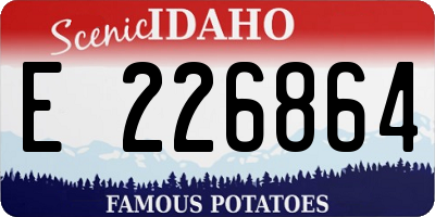 ID license plate E226864