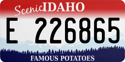 ID license plate E226865