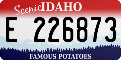 ID license plate E226873