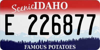 ID license plate E226877