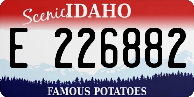 ID license plate E226882