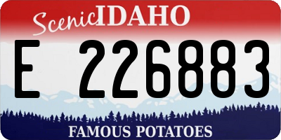 ID license plate E226883