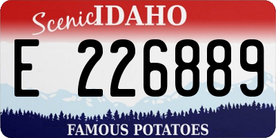 ID license plate E226889