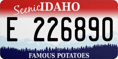 ID license plate E226890