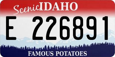 ID license plate E226891