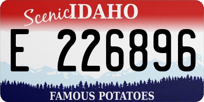 ID license plate E226896