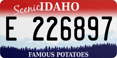 ID license plate E226897