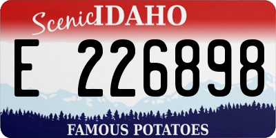 ID license plate E226898