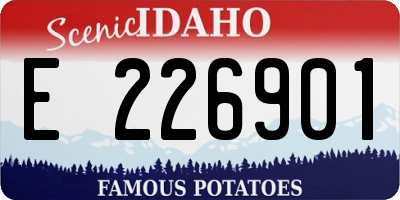 ID license plate E226901