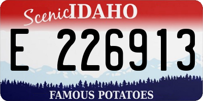 ID license plate E226913