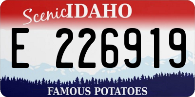 ID license plate E226919