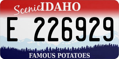 ID license plate E226929