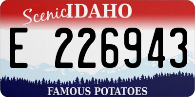 ID license plate E226943
