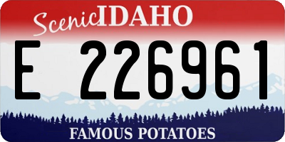 ID license plate E226961