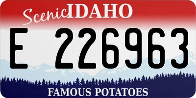 ID license plate E226963